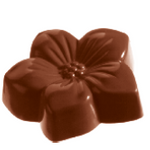 CW1060 VIOLETA