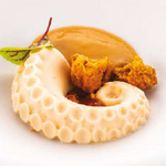 PULPO 20