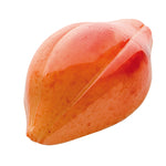 CF0101 MEDIA HABA DE CACAO